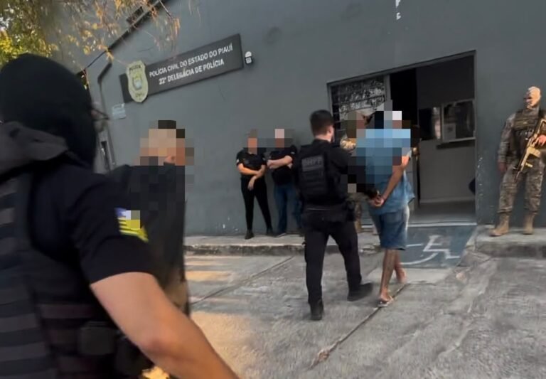 A ação foi coordenada pela 3ª Delegacia Seccional da capital e pelo Departamento de Homicídios e Proteção à Pessoa (DHPP).