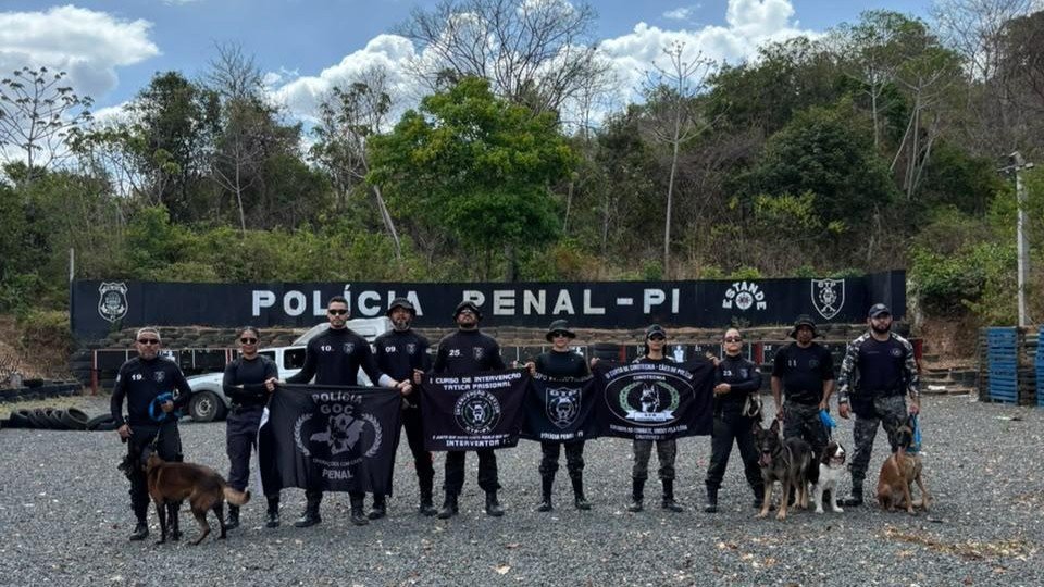 A iniciativa atendeu a um pedido da própria equipe do GTP, que está estruturando