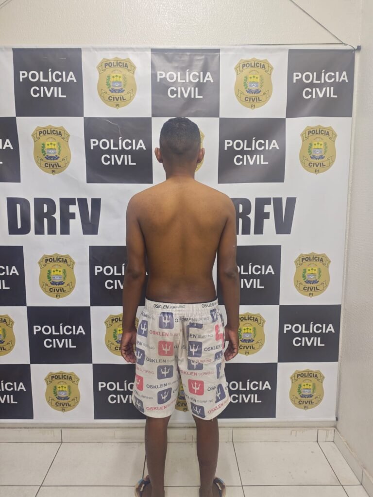 As ações foram conduzidas pelo Departamento de Roubo e Furto de Veículos (DRFV).