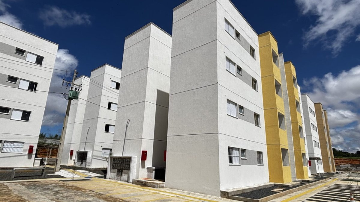 Como consultar o resultado