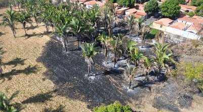 Fogo consumiu mais de 61 hectares em áreas de pesquisa e reserva ambiental, aponta Embrapa (Foto: Divulgação/Embrapa)