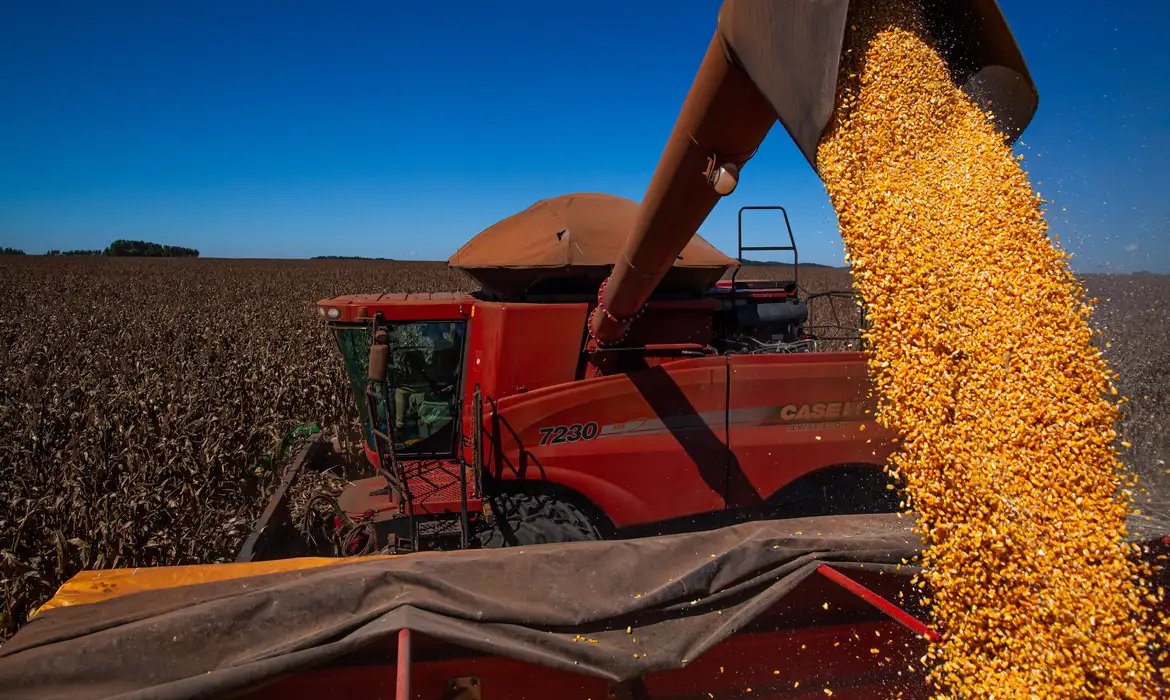 Informações são do Levantamento Sistemático de Produção Agrícola