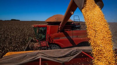 Informações são do Levantamento Sistemático de Produção Agrícola (Foto: CNA/Wenderson Araujo/Trilux)
