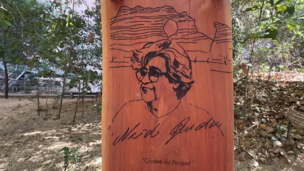 Legado de Niède Guidon marca a Serra da Capivara e a vida de moradores no PI: 'Criou raízes nesta terra'