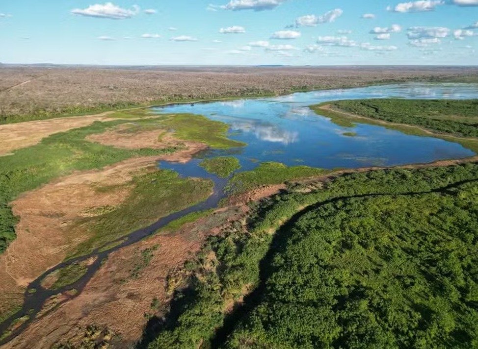 Rio Gurguéia