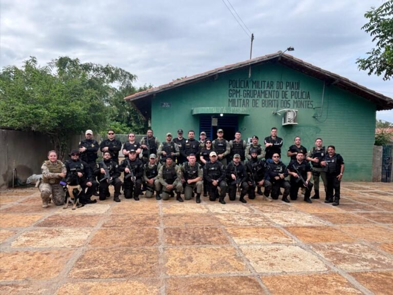 De acordo com o delegado Carlos Júnior, titular da Delegacia Seccional de Campo Maior