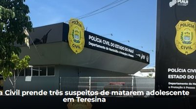 De acordo com o delegado Danubio Dias, o adolescente foi morto (Foto: Reprodução/SSPI)