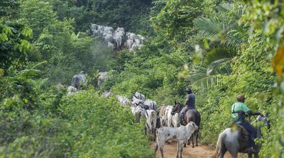 Em dezembro do ano passado, indicador recuou 0,2% (Foto: BRUNO PERES/AGÊNCIA BRASIL)