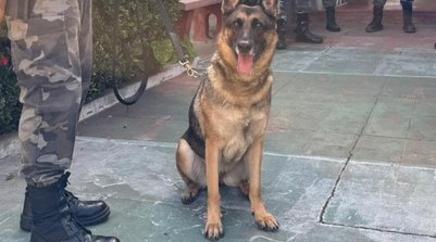 “Estamos em Piripiri para realizar a entrega da cadela Fênix, que está plenamente preparada para atuar no combate a criminalidade. (Foto: Reprodução/SSPI)