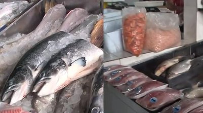 Pescados no Mercado do Peixe de Teresina (Foto: Montagem g1 PI/ TV Clube)