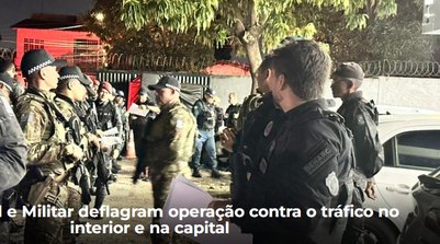 A ação foi coordenada pelo Departamento Estadual de Repressão ao Narcotráfico (DENARC) (Foto: Reprodução/SSPI)