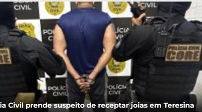 A Polícia Civil ressalta que a operação é mais um exemplo do compromisso (Foto: Reprodução/SSPI)