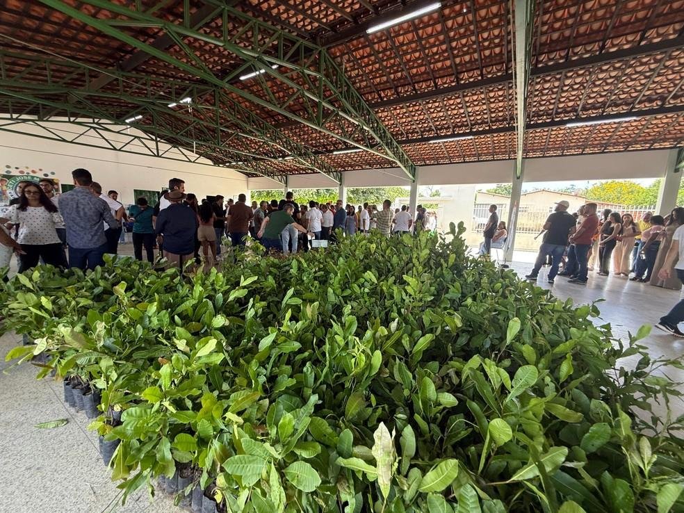 Distribuição de plantas nativas no sul do Piauí.