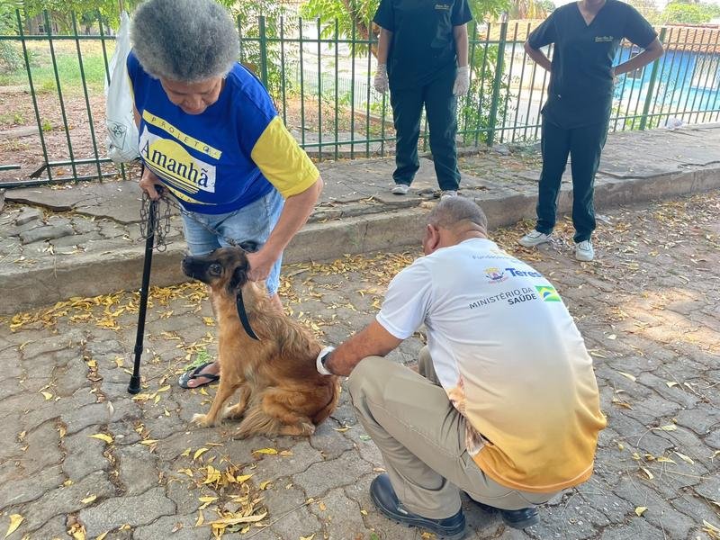 O objetivo é garantir maior conforto térmico para animais e seus responsáveis, como também os profissionais que atuam na ação.