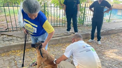 O objetivo é garantir maior conforto térmico para animais e seus responsáveis, como também os profissionais que atuam na ação. (Foto: Ascom FMS)