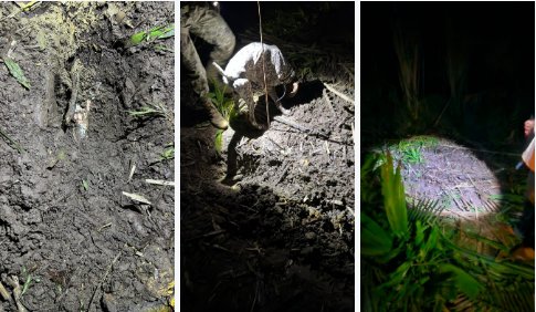 De acordo com o delegado Jorge Terceiro, da Delegacia de Investigação de Desaparecimento de Pessoas (DESAP) do DHPP