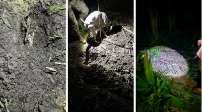 De acordo com o delegado Jorge Terceiro, da Delegacia de Investigação de Desaparecimento de Pessoas (DESAP) do DHPP (Foto: Reprodução/SSPI)