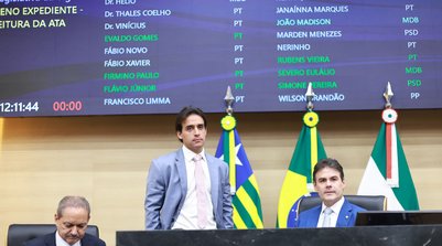 Deputada destaca melhorias para a população com as obras (Foto: Régis Falcão/Ascom Alepi)