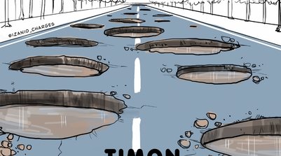 Timon (Foto: Reprodução)