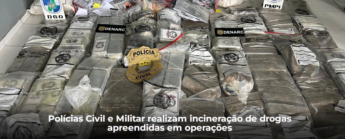 A quantidade incinerada representa parte da droga