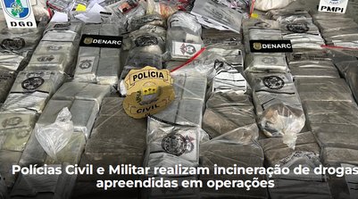 A quantidade incinerada representa parte da droga (Foto: Reprodução/SSPI)