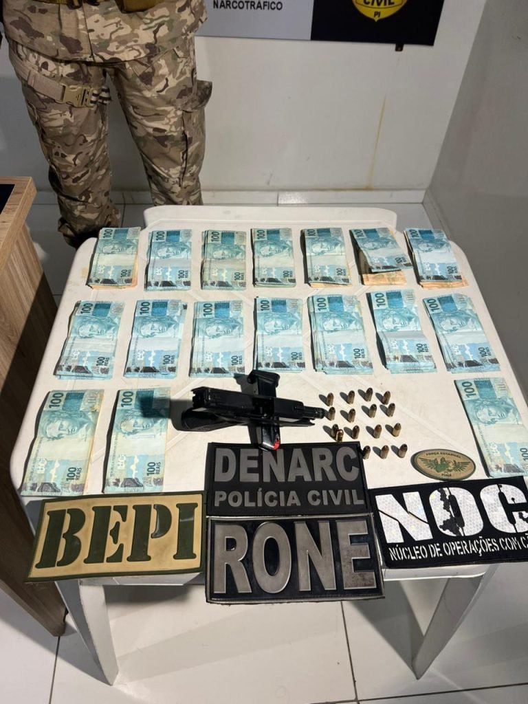 A ação foi coordenada pelo Departamento Estadual de Repressão ao Narcotráfico (DENARC)