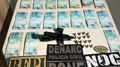 A ação foi coordenada pelo Departamento Estadual de Repressão ao Narcotráfico (DENARC) (Foto: Reprodução/SSPI)