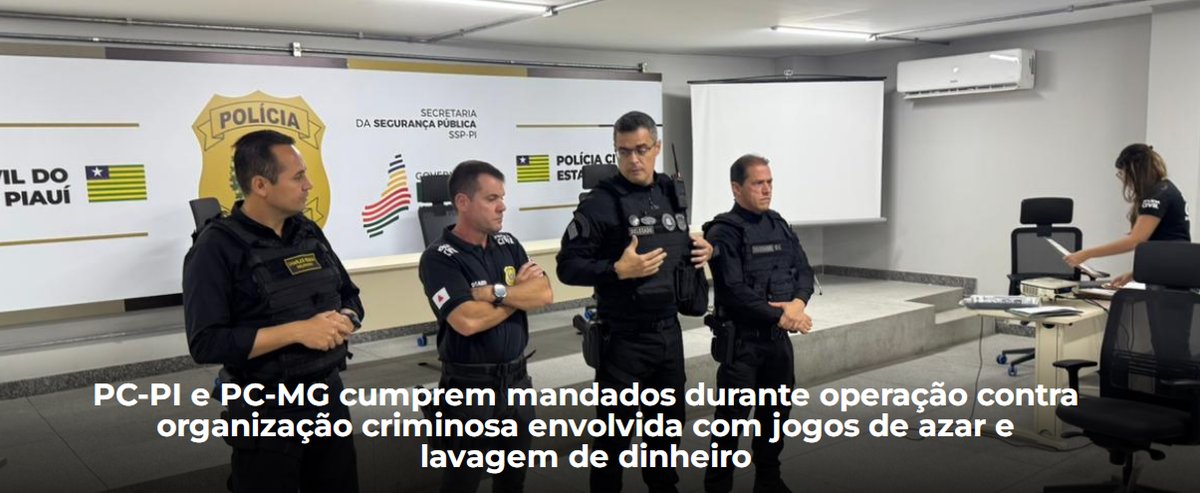 Diante dos elementos reunidos, a autoridade policial representou