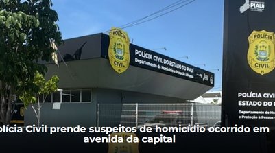 O DHPP reitera seu compromisso com a segurança da sociedade piauiense (Foto: Reprodução/SSPI)