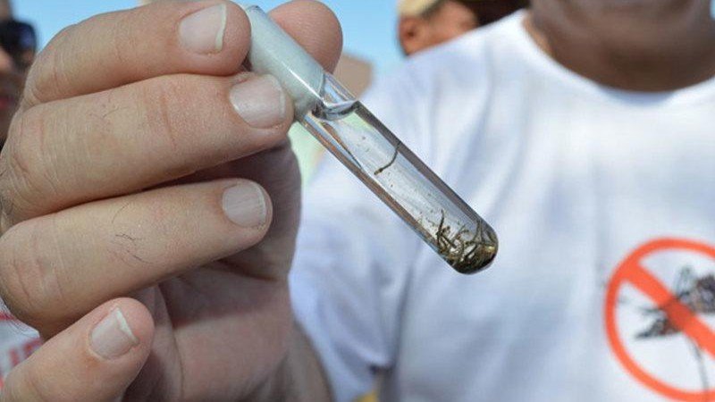 Prefeitura institui comitê técnico para combater casos de dengue em Teresina