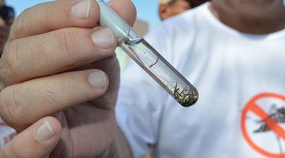 Prefeitura institui comitê técnico para combater casos de dengue em Teresina (Foto: Ascom FMS)