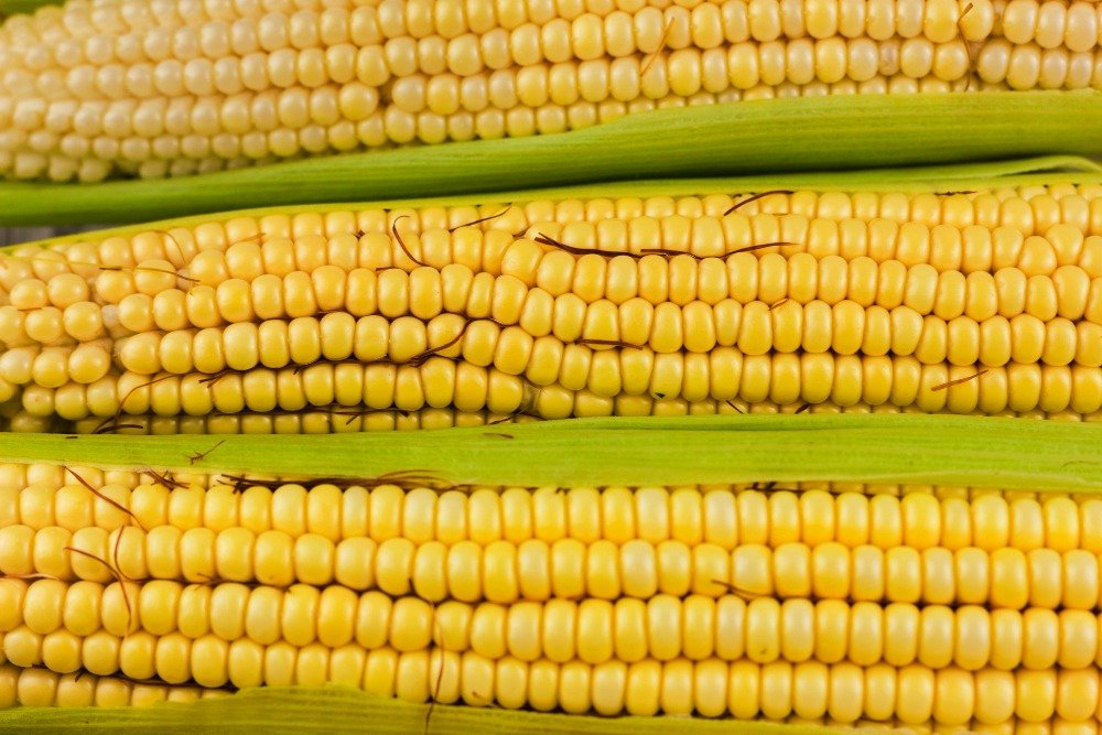 Segundo a nutricionista e coordenadora do curso de nutrição