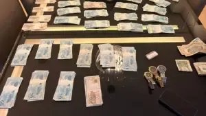 Apreensões feitas durante a Operação Galho Fraco II (Foto: Divulgação)