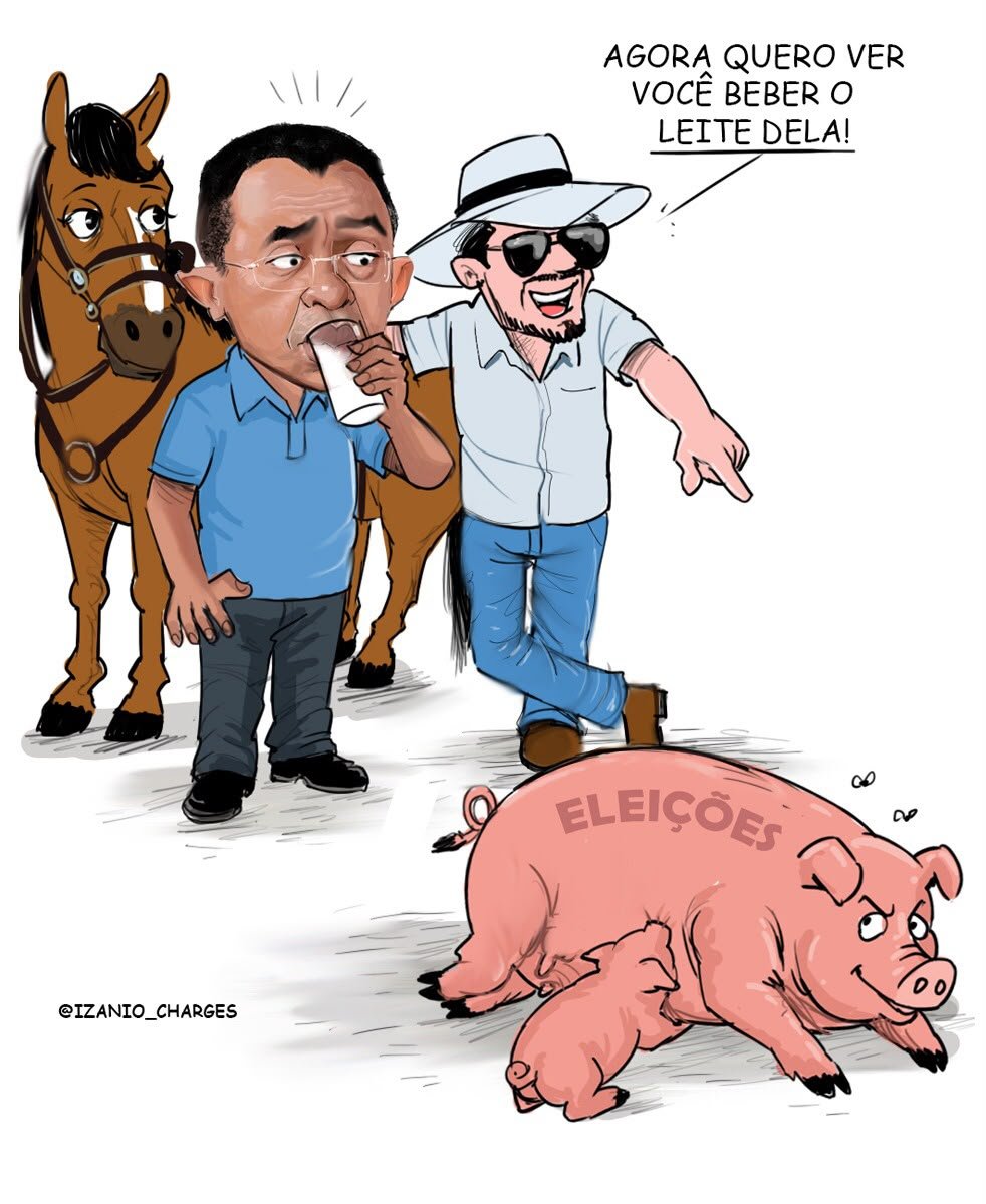 ELEIÇÕES