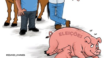 ELEIÇÕES (Foto: Reprodução)