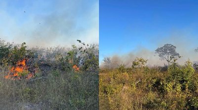 Incêndio é controlado após 21 dias no interior do PI; 34 hectares atingidos (Foto: Defesa Civil)