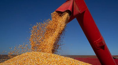 Volume é 0,4% maior do que a safra do ano passado (Foto: CNA/Wenderson Araujo/Trilux)