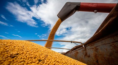 Produção prevista é 2,4% maior que a do ciclo anterior (Foto: Reprodução/INTERNET)