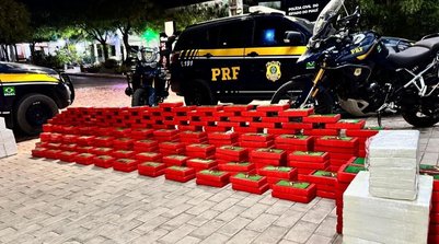 Quase meia tonelada de cocaína escondida em caminhão é apreendida no Sul do PI (Foto: Reprodução/PRF)
