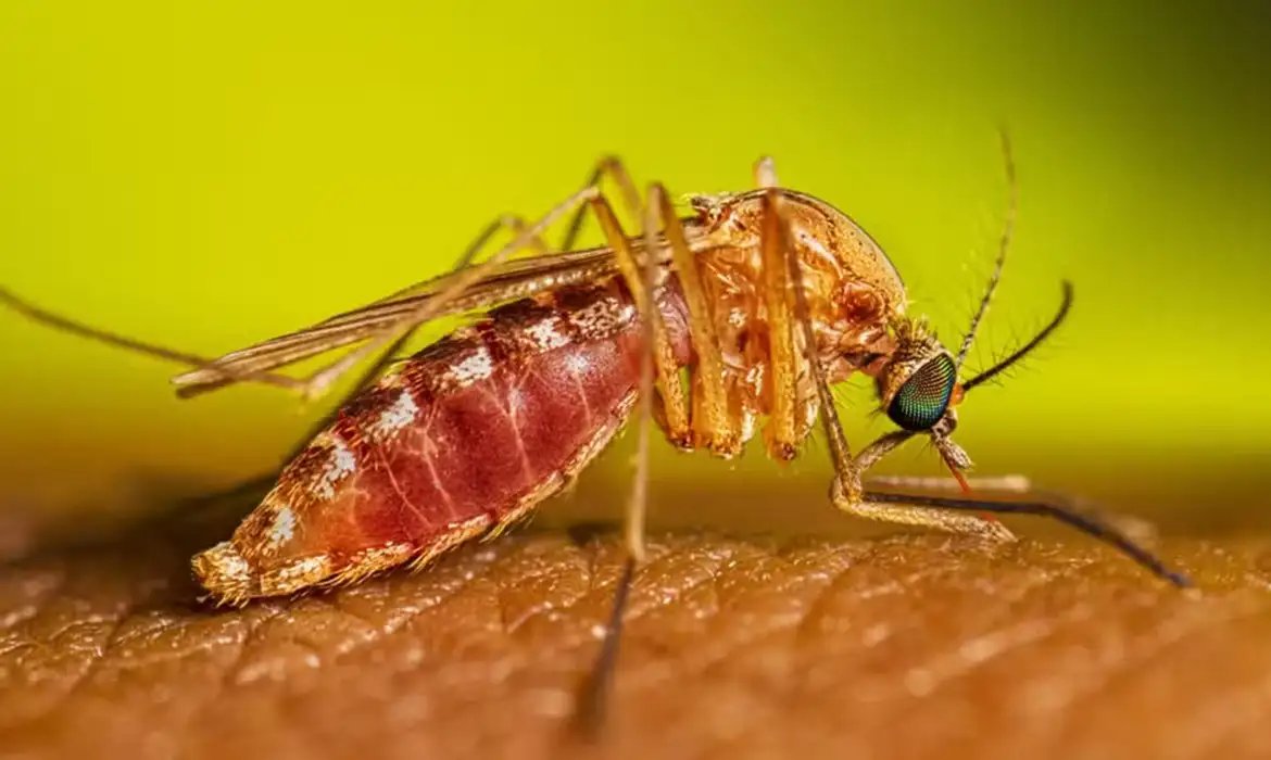 Segundo infectologista, menos de 1% dos casos evolui para forma grave