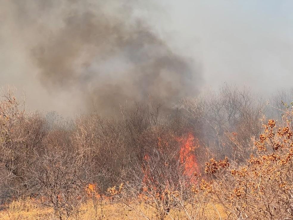 Piauí lidera em número de focos de incêndio com quase 280 registros em 24 horas, conforme o INPE