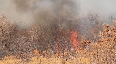 Piauí lidera em número de focos de incêndio com quase 280 registros em 24 horas, conforme o INPE (Foto: Divulgação/Secretaria de Meio Ambiente/São João do Piauí)