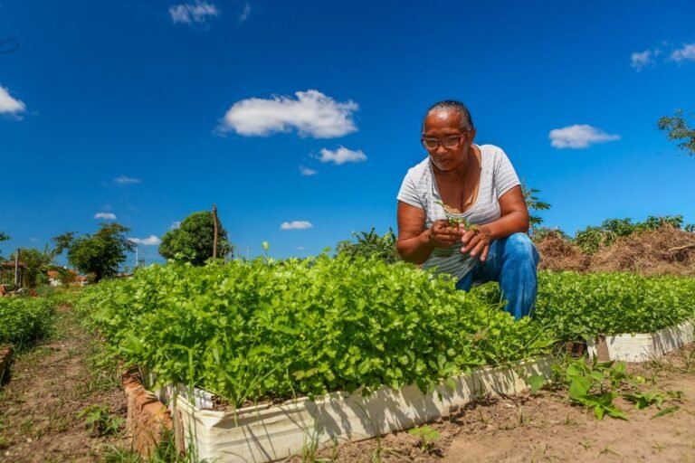 Rafael assina operação de crédito de R$ 600 milhões para agricultura familiar nesta terça (28)