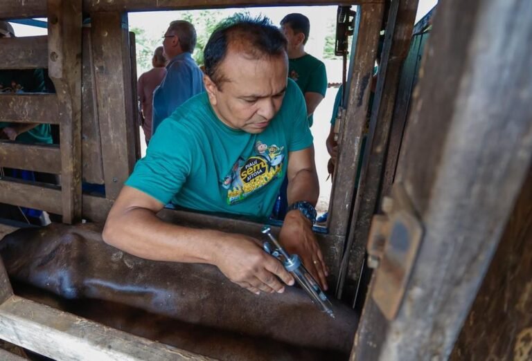 Segunda etapa da Campanha de Vacinação contra Aftosa é prorrogada até 30 de dezembro