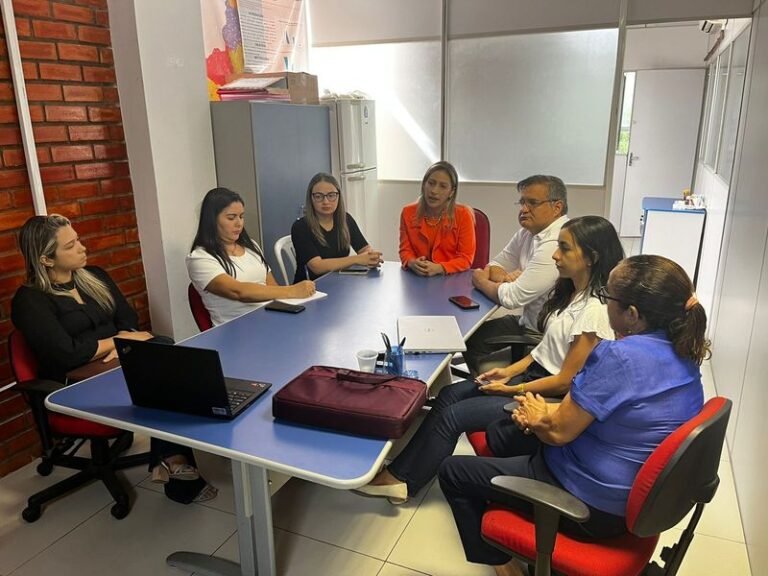 Sesapi realiza oficina de implantação de Comitês Municipais de Prevenção da Mortalidade Materno Infantil e Fetal no Piauí