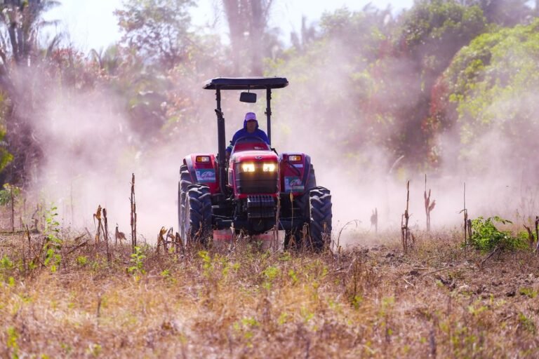 Investimento de R$ 22 milhões em máquinas agrícolas muda realidade de agricultores familiares do Piauí