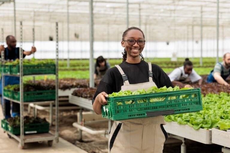 Setor alimentício tem forte impacto econômico e exigência por qualificação aumenta