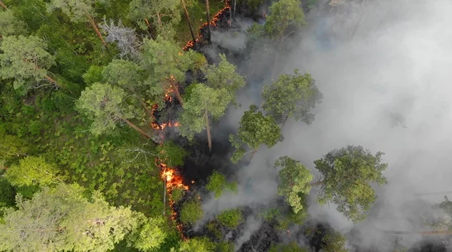 Queimadas persistem na Amazônia; cidades do Pará superam mil focos