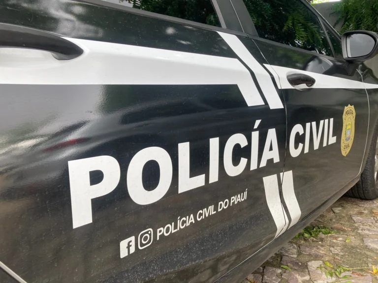 Polícia Civil prende mulher suspeita de estelionato e associação criminosa em Teresina