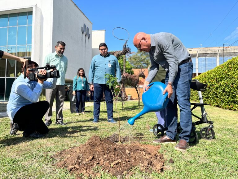 Presidente da Alepi defende criação de bosques como critério para acesso ao ICMS Ecológico